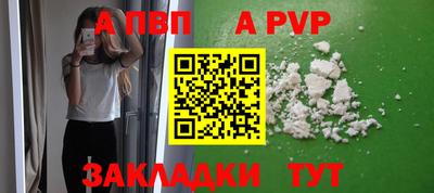 шишки Заволжье