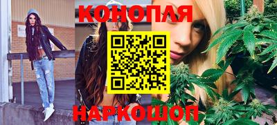 шишки Заволжье