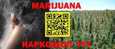 шишки Заволжье