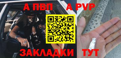 шишки Заволжье